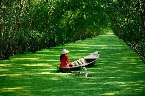 The Mekong Delta near Ho Chi Minh City, Vietnam